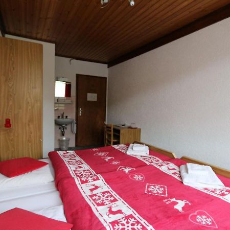 Hotel Des Portes Du Soleil Ле-Крозе Экстерьер фото